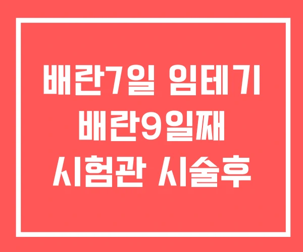 배란7일 임테기 배란9일째 시험관 시술후 배란7일 임테기 배란9일째 시험관 시술후