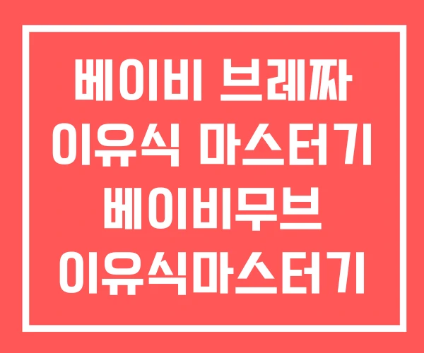 베이비 브레짜 이유식 마스터기 베이비무브 이유식마스터기