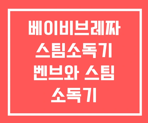 베이비브레짜 스팀소독기 벤브와 스팀 소독기 베이비브레짜 스팀소독기 벤브와 스팀 소독기