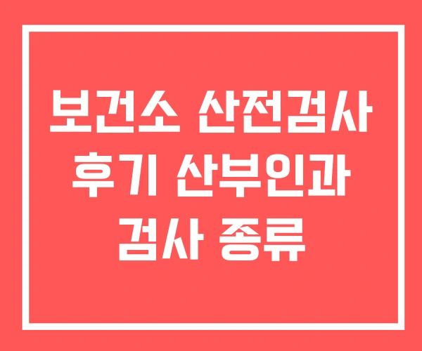 보건소 산전검사 후기 산부인과 검사 종류