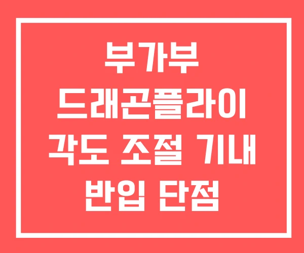 부가부 드래곤플라이 각도 조절 기내 반입 단점 부가부 드래곤플라이 각도 조절 기내 반입 단점