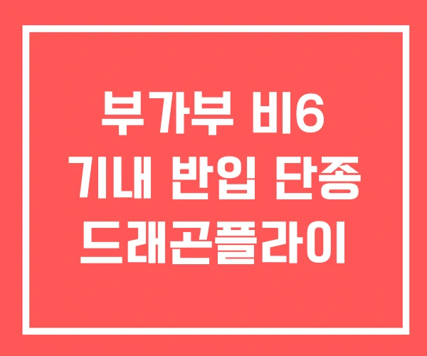 부가부 비6 기내 반입 단종 드래곤플라이