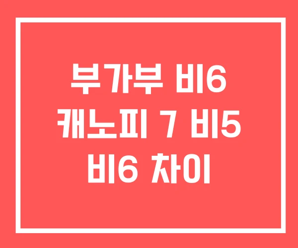 부가부 비6 캐노피 7 비5 비6 차이