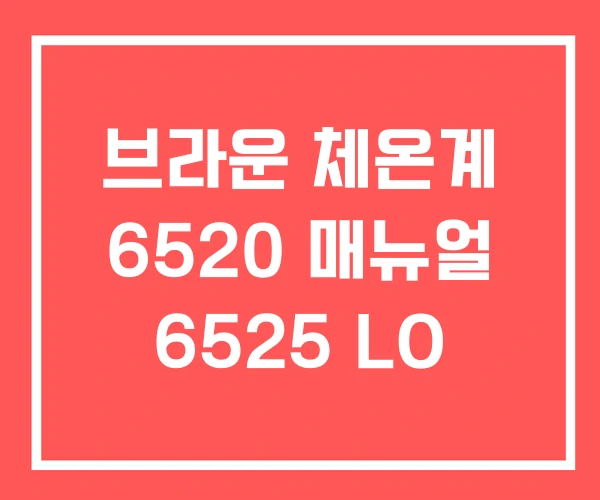 브라운 체온계 6520 매뉴얼 6525 LO