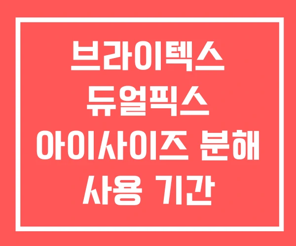 브라이텍스 듀얼픽스 아이사이즈 분해 사용 기간 신생아
