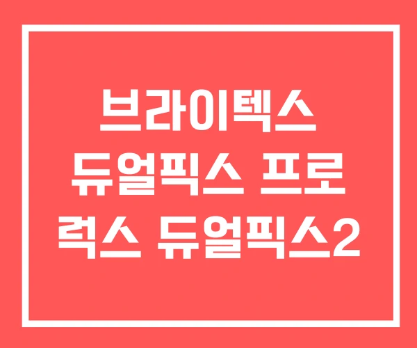 브라이텍스 듀얼픽스 프로 럭스 듀얼픽스2