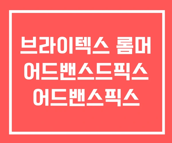 브라이텍스 롬머 어드밴스드픽스 어드밴스픽스