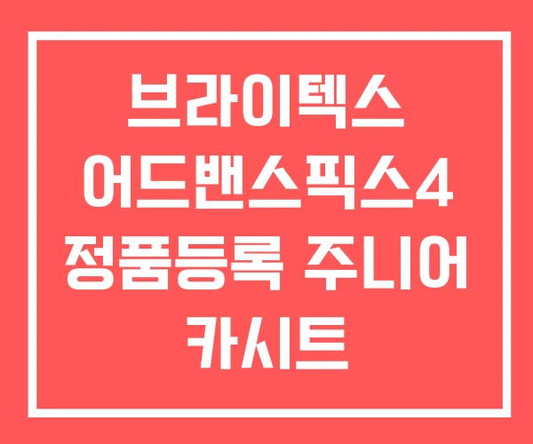 브라이텍스 어드밴스픽스4 정품등록 주니어 카시트