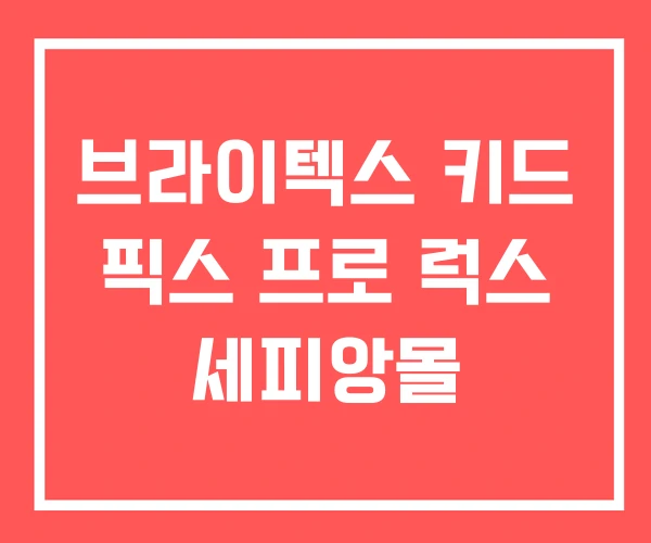 브라이텍스 키드 픽스 프로 럭스 세피앙몰