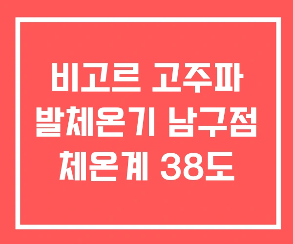 비고르 고주파 발체온기 남구점 체온계 38도