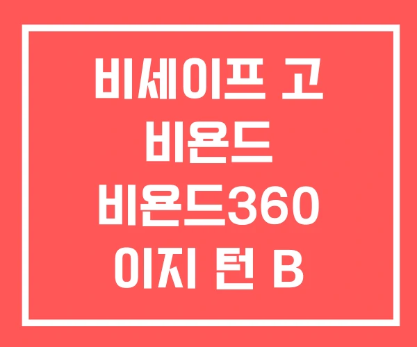 비세이프 고 비욘드 비욘드360 이지 턴 B