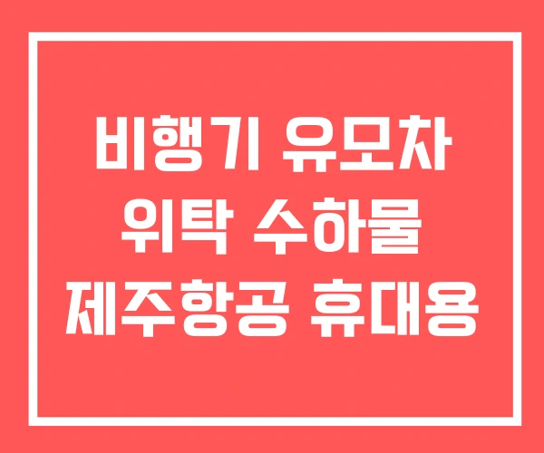 비행기 유모차 위탁 수하물 제주항공 휴대용