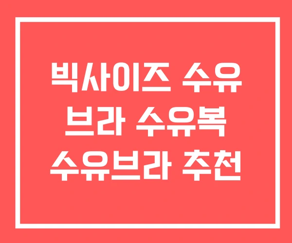 빅사이즈 수유 브라 수유복 수유브라 추천