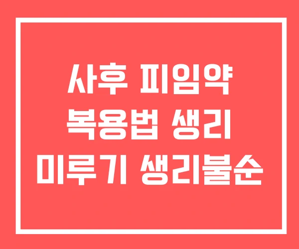 사후 피임약 복용법 생리 미루기 생리불순