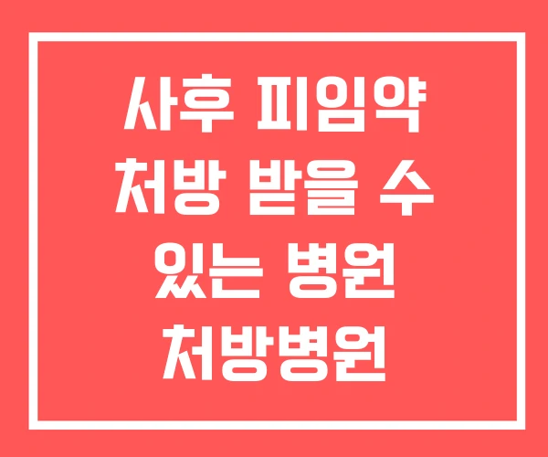 사후 피임약 처방 받을 수 있는 병원 처방병원