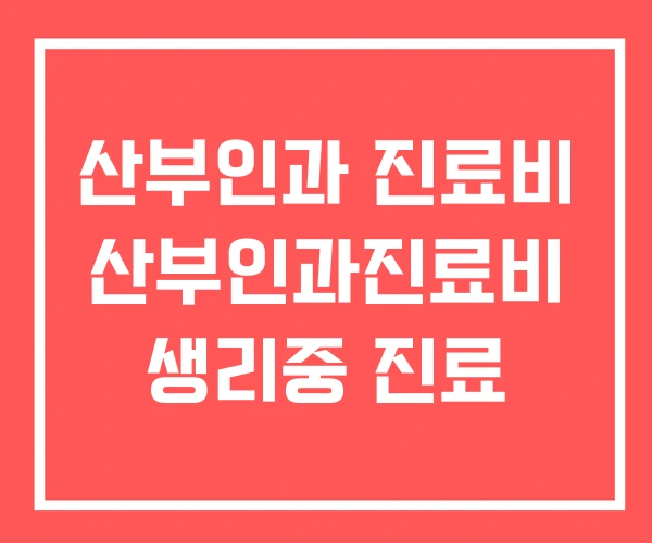 산부인과 진료비 산부인과진료비 생리중 진료