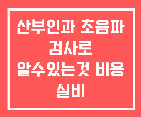 산부인과 초음파 검사로 알수있는것 비용 실비