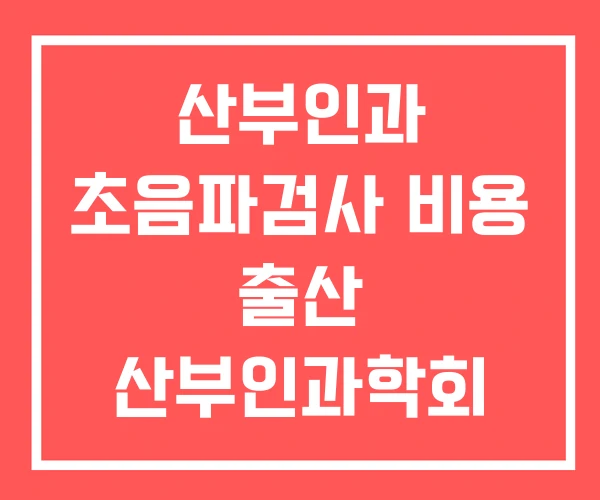산부인과 초음파검사 비용 출산 산부인과학회