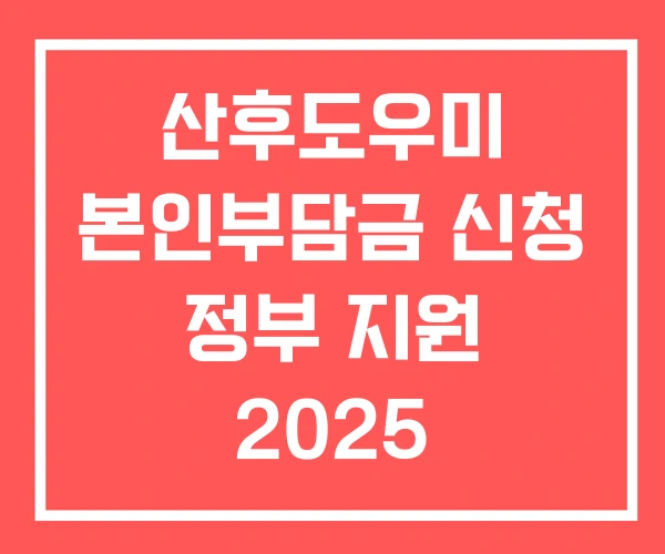 산후도우미 본인부담금 신청 정부 지원 2025