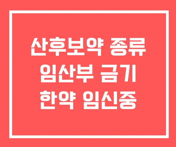 산후보약 종류 임산부 금기 한약 임신중