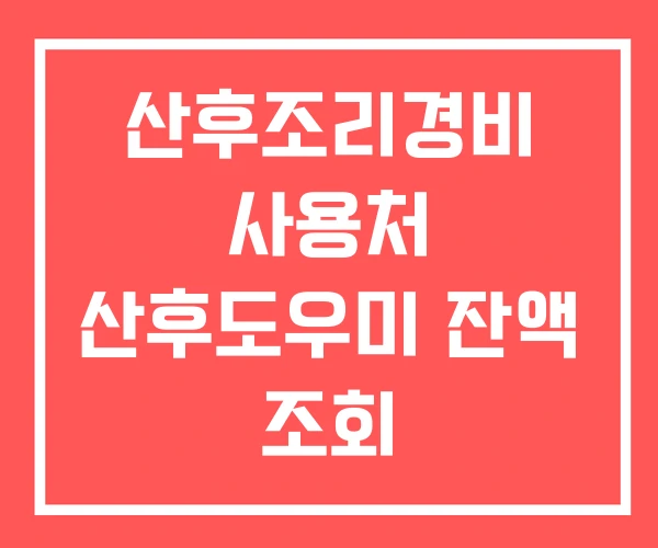 산후조리경비 사용처 산후도우미 잔액 조회