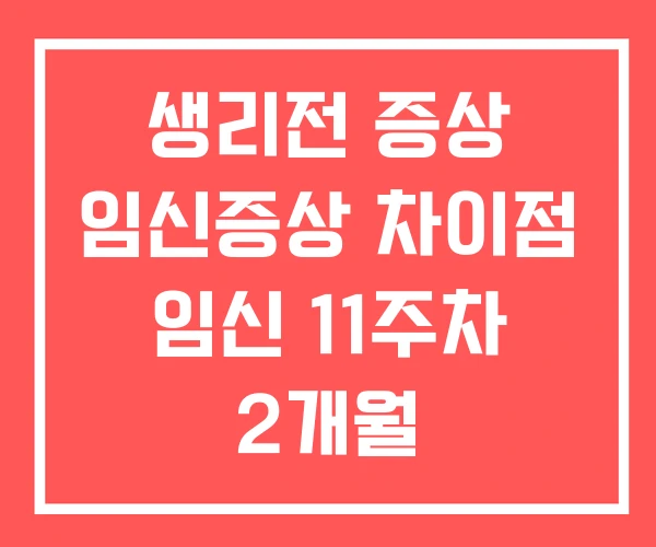 생리전 증상 임신증상 차이점 임신 11주차 2개월 생리전 증상 임신증상 차이점 임신 11주차 2개월