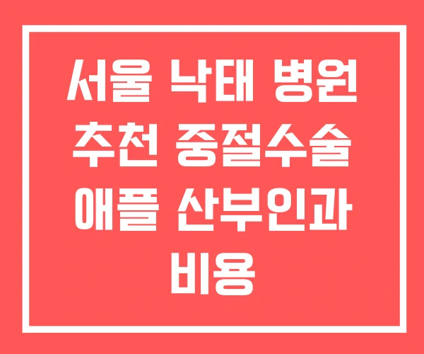 서울 낙태 병원 추천 중절수술 애플 산부인과 비용