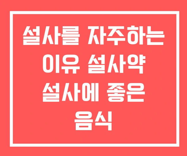 설사를 자주하는 이유 설사약 설사에 좋은 음식
