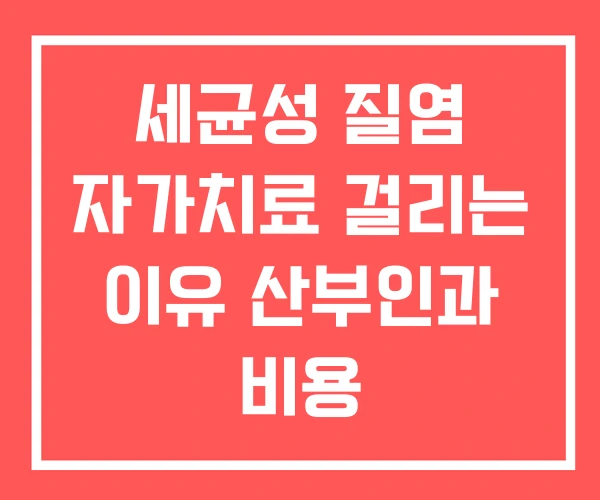 세균성 질염 자가치료 걸리는 이유 산부인과 비용