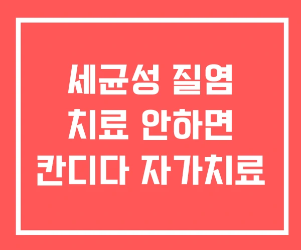세균성 질염 치료 안하면 칸디다 자가치료