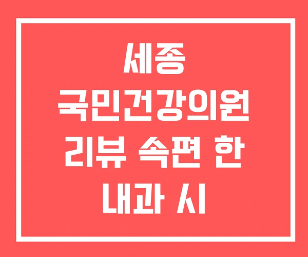 세종 국민건강의원 리뷰 속편 한 내과 시 건강검진 추천