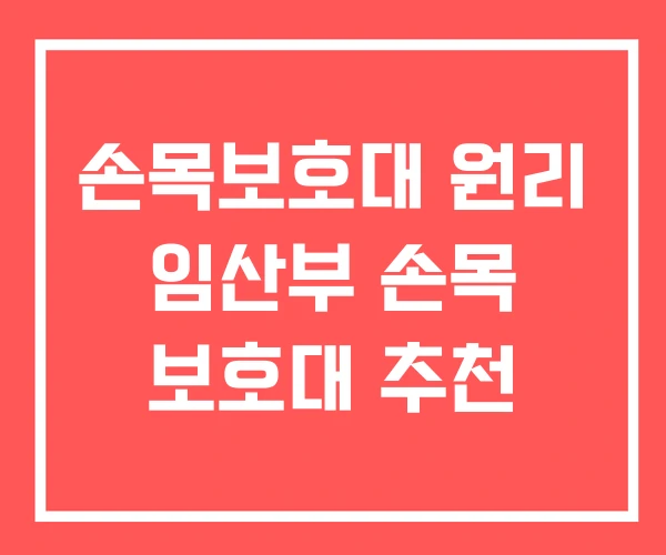 손목보호대 원리 임산부 손목 보호대 추천 손목보호대 원리 임산부 손목 보호대 추천