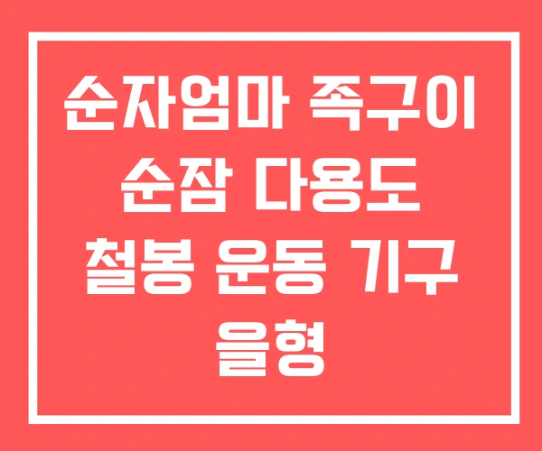 순자엄마 족구이 순잠 다용도 철봉 운동 기구 을형