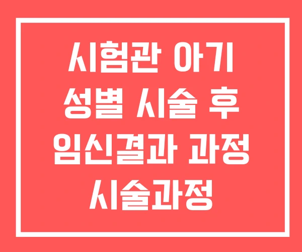 시험관 아기 성별 시술 후 임신결과 과정 시술과정