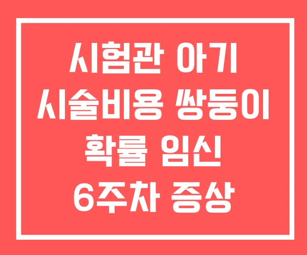 시험관 아기 시술비용 쌍둥이 확률 임신 6주차 증상