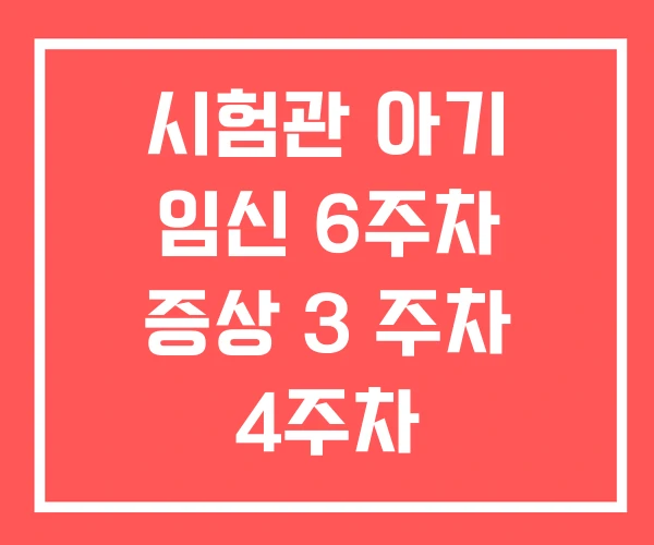시험관 아기 임신 6주차 증상 3 주차 4주차