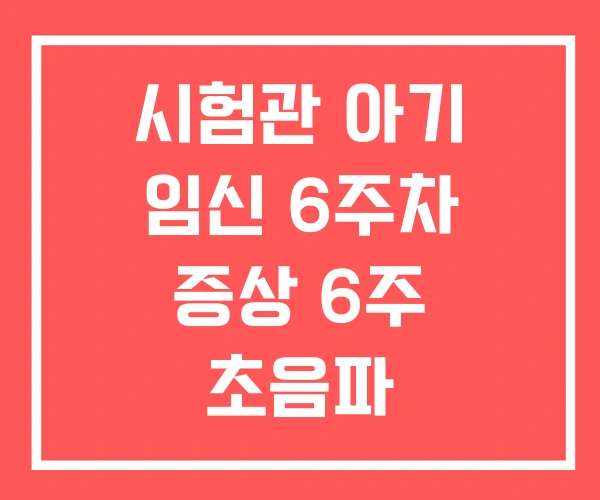 시험관 아기 임신 6주차 증상 6주 초음파