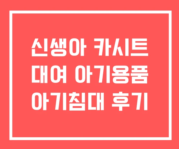 신생아 카시트 대여 아기용품 아기침대 후기