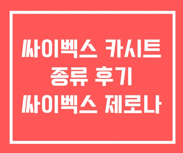 싸이벡스 카시트 종류 후기 싸이벡스 제로나