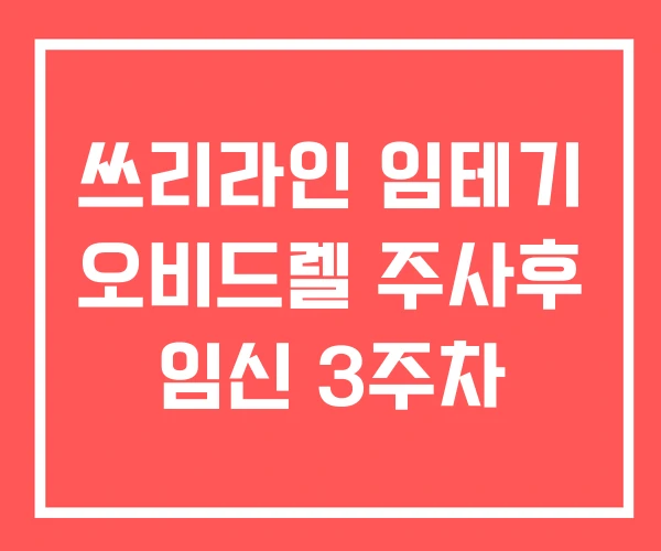 쓰리라인 임테기 오비드렐 주사후 임신 3주차 쓰리라인 임테기 오비드렐 주사후 임신 3주차