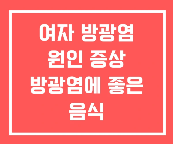 여자 방광염 원인 증상 방광염에 좋은 음식