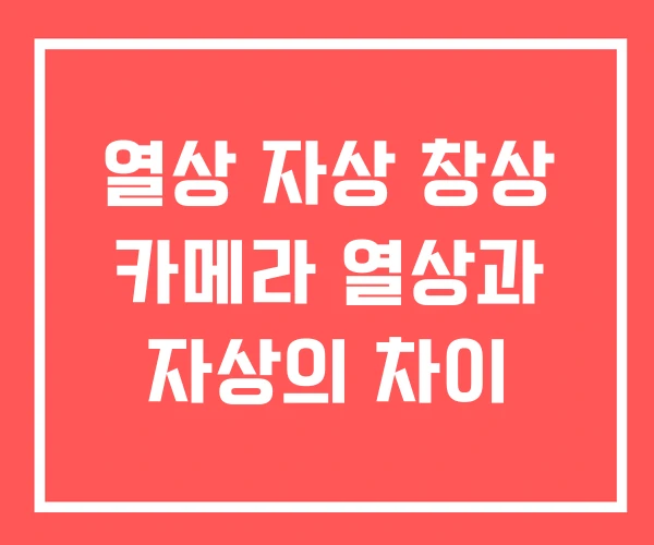 열상 자상 창상 카메라 열상과 자상의 차이