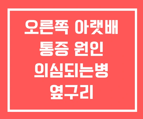 오른쪽 아랫배 통증 원인 의심되는병 옆구리