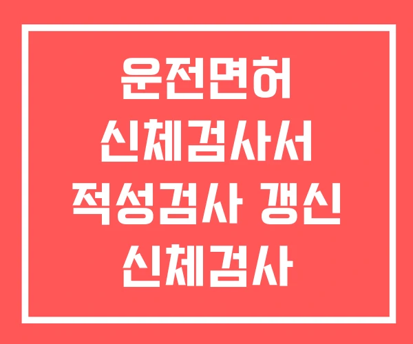 운전면허 신체검사서 적성검사 갱신 신체검사