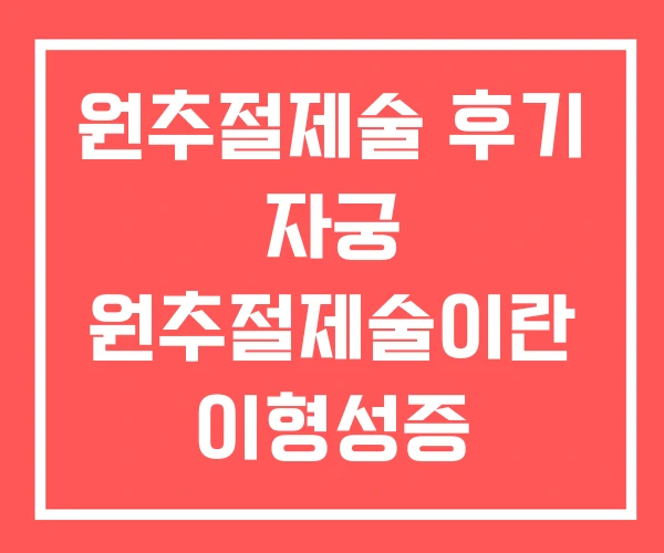 원추절제술 후기 자궁 원추절제술이란 이형성증 원추절제술 후기 자궁 원추절제술이란 이형성증