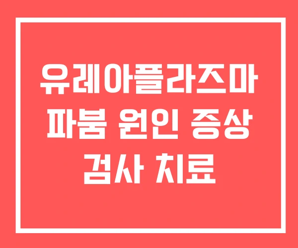 유레아플라즈마 파붐 원인 증상 검사 치료