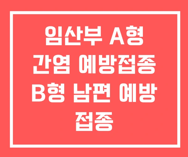 임산부 A형 간염 예방접종 B형 남편 예방 접종