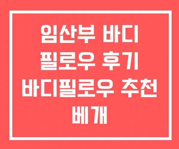 임산부 바디 필로우 후기 바디필로우 추천 베개