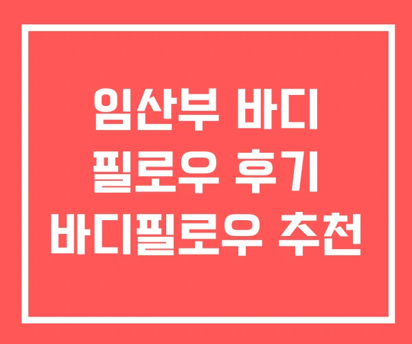 임산부 바디 필로우 후기 바디필로우 추천