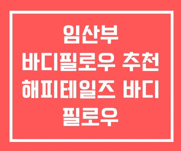 임산부 바디필로우 추천 해피테일즈 바디 필로우